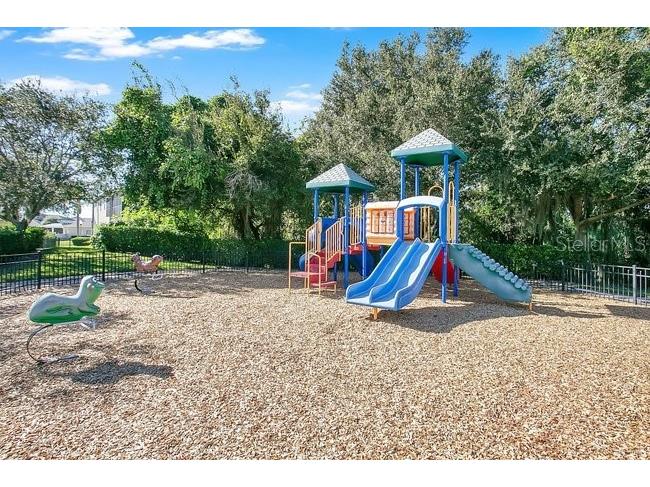 427 Egret Place Drive Winter Garden FL 34787 O6422411 image58