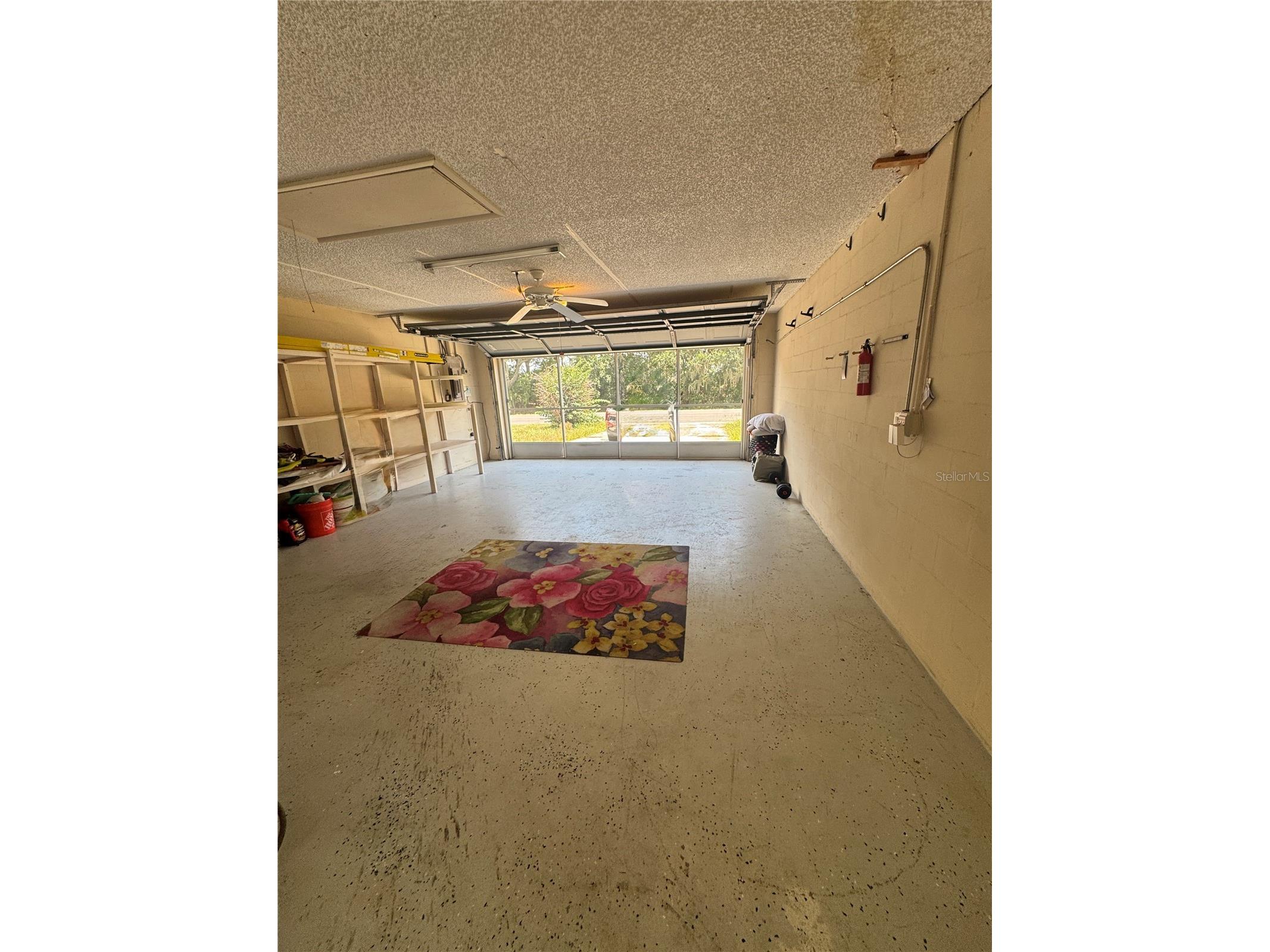 427 Greenfield Road Winter Haven FL 33884 S5152629 image11