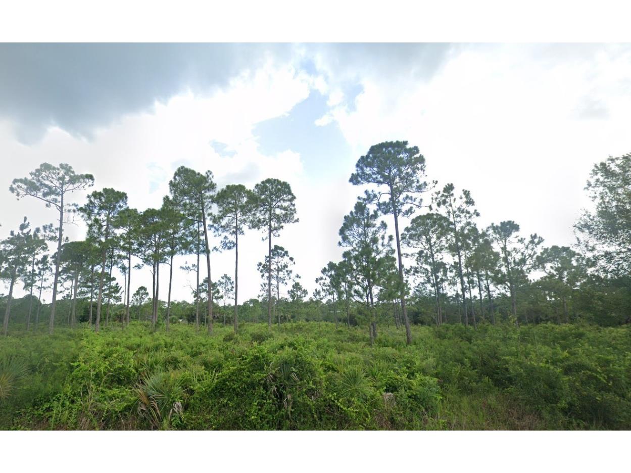 427 Hanscom Street Port Charlotte FL 33953 D6141307 image1