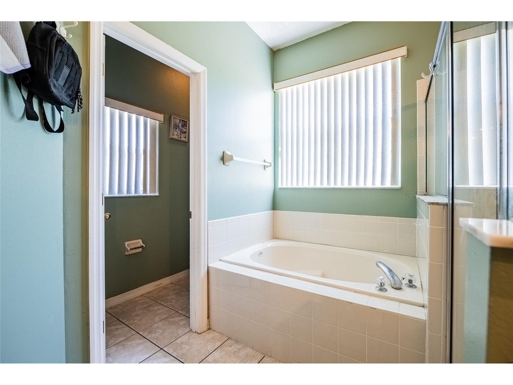 427 Lark Court Kissimmee FL 34759 TB8505126 image24