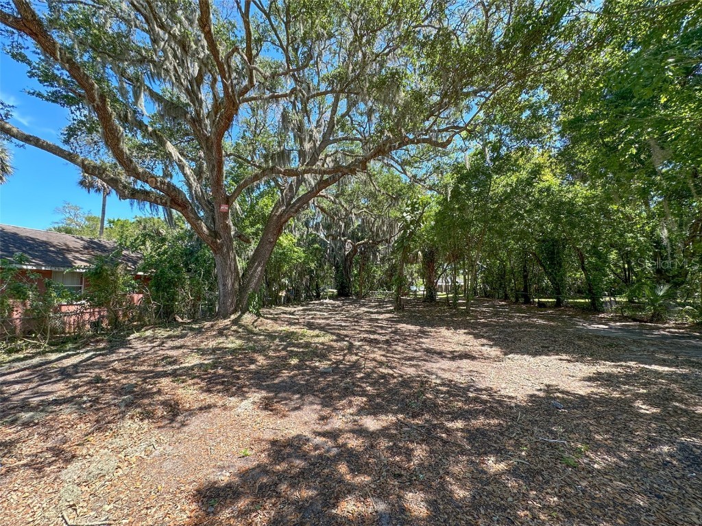 427 N Caroline Street Daytona Beach FL 32114 NS1081225 image1