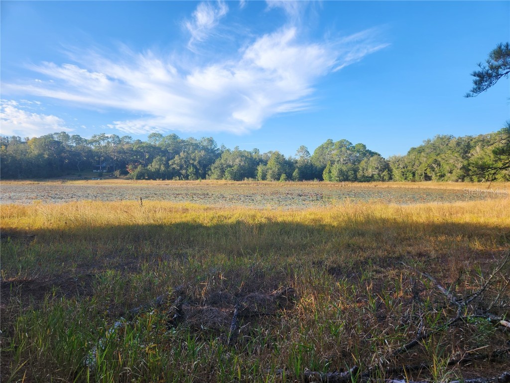 427 S Carolina Street Hawthorne FL 32640 - East Lake GC517458 image1