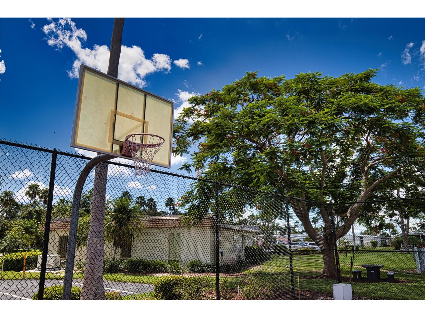 427 Tarde Logo Circle North Port FL 34287 TB8459477 image74