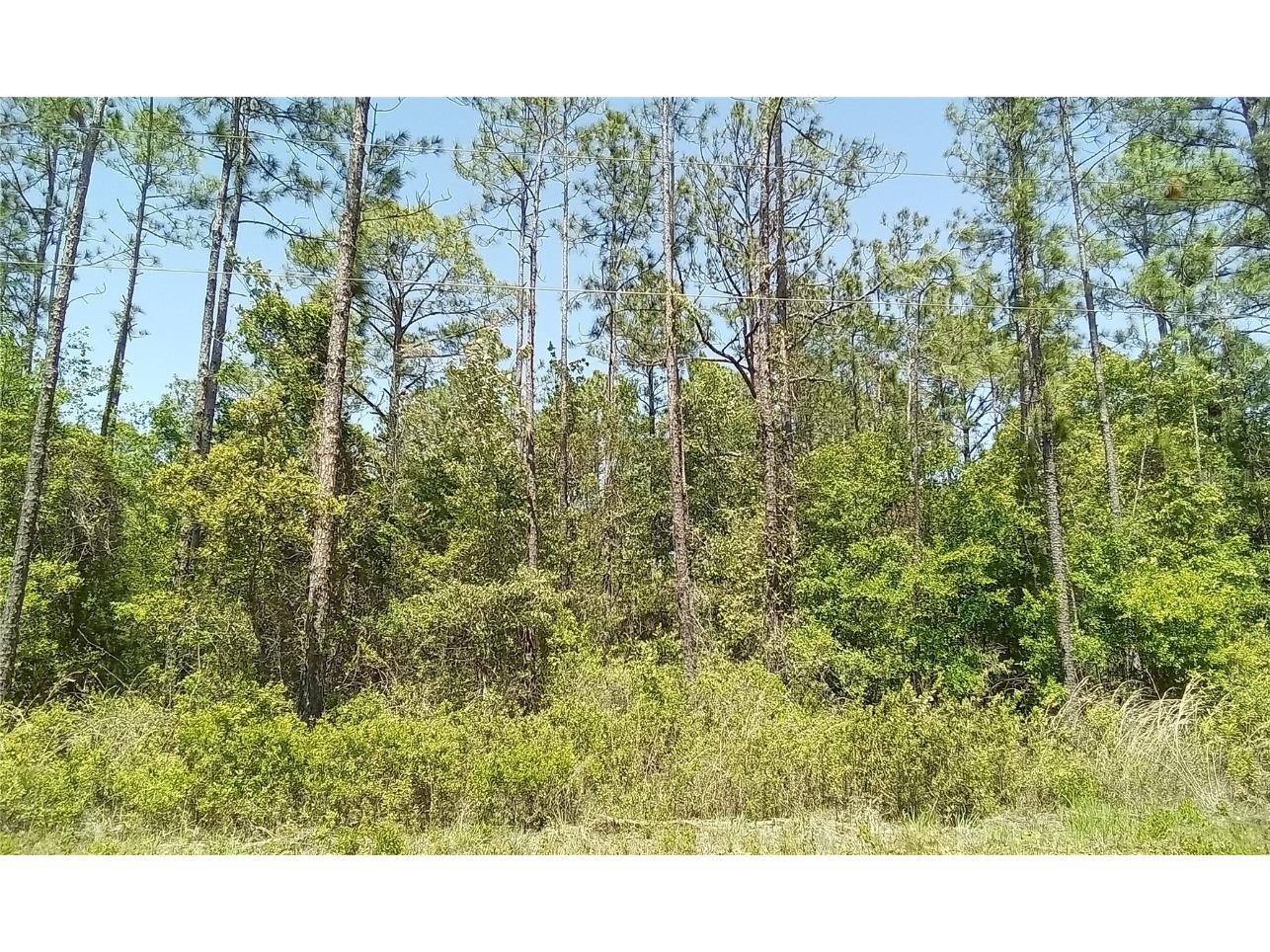 4270 Alvin Street Hastings FL 32145 OM677975 image1