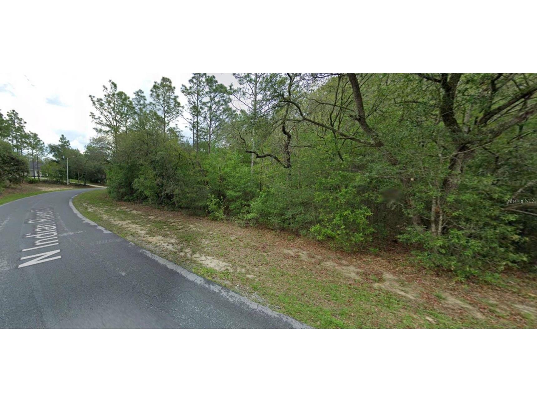 4270 N Indianriver Drive Hernando FL 34442 O6392344 image2