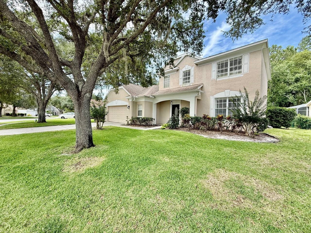 4272 Ellinwood Boulevard Palm Harbor FL 34685 TB8517851 image3