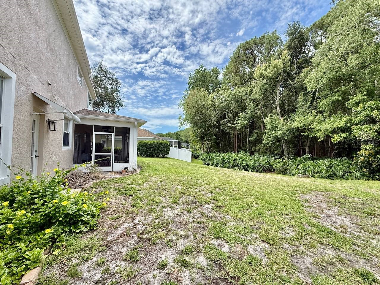 4272 Ellinwood Boulevard Palm Harbor FL 34685 TB8517851 image52