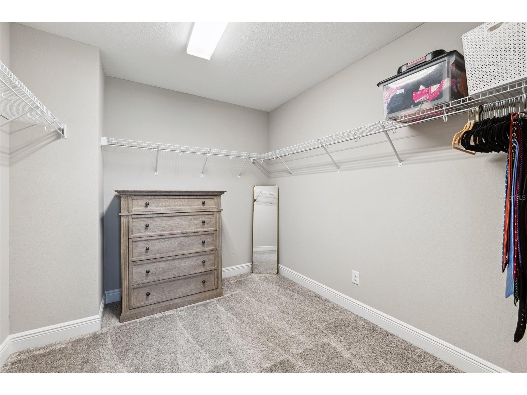 4275 Burdick Loop Odessa FL 33556 W7885461 image41