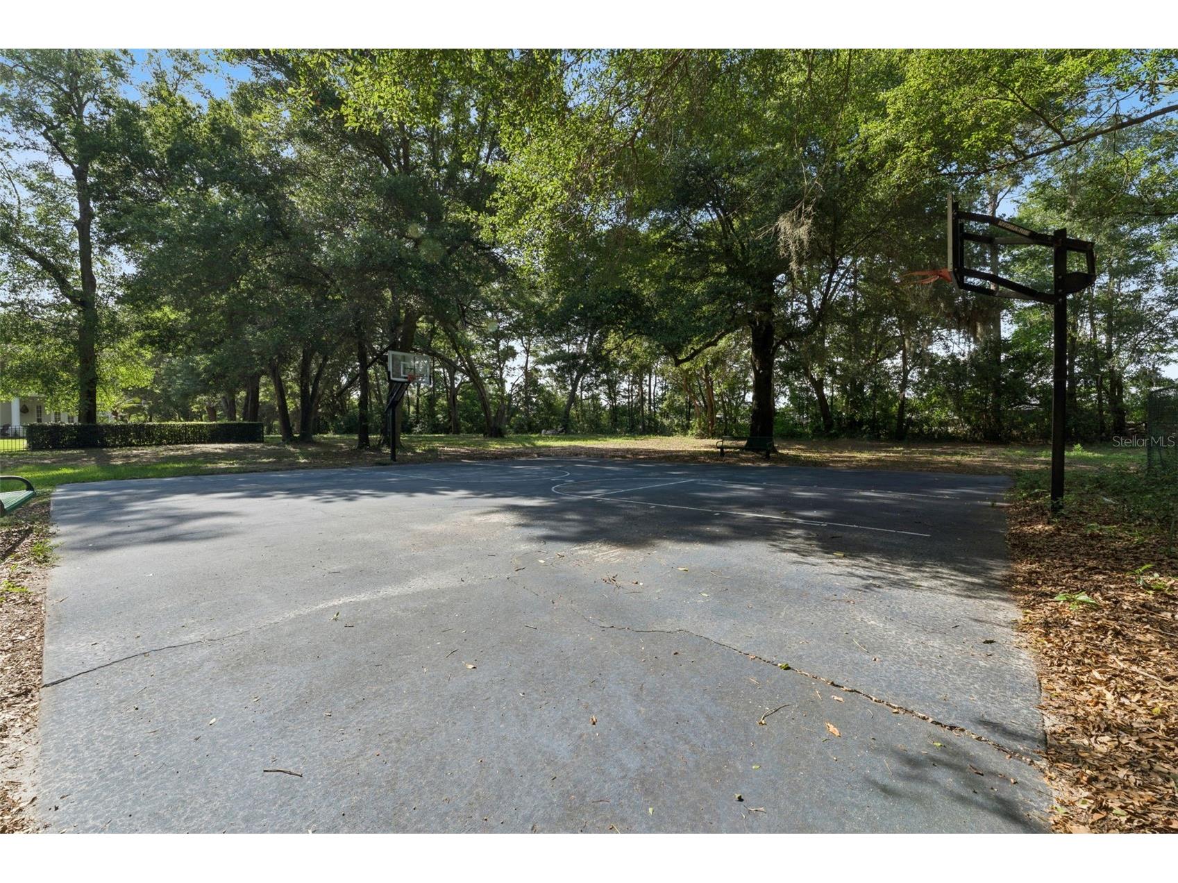 4275 Round Lake Road Apopka FL 32712 O6412504 image55