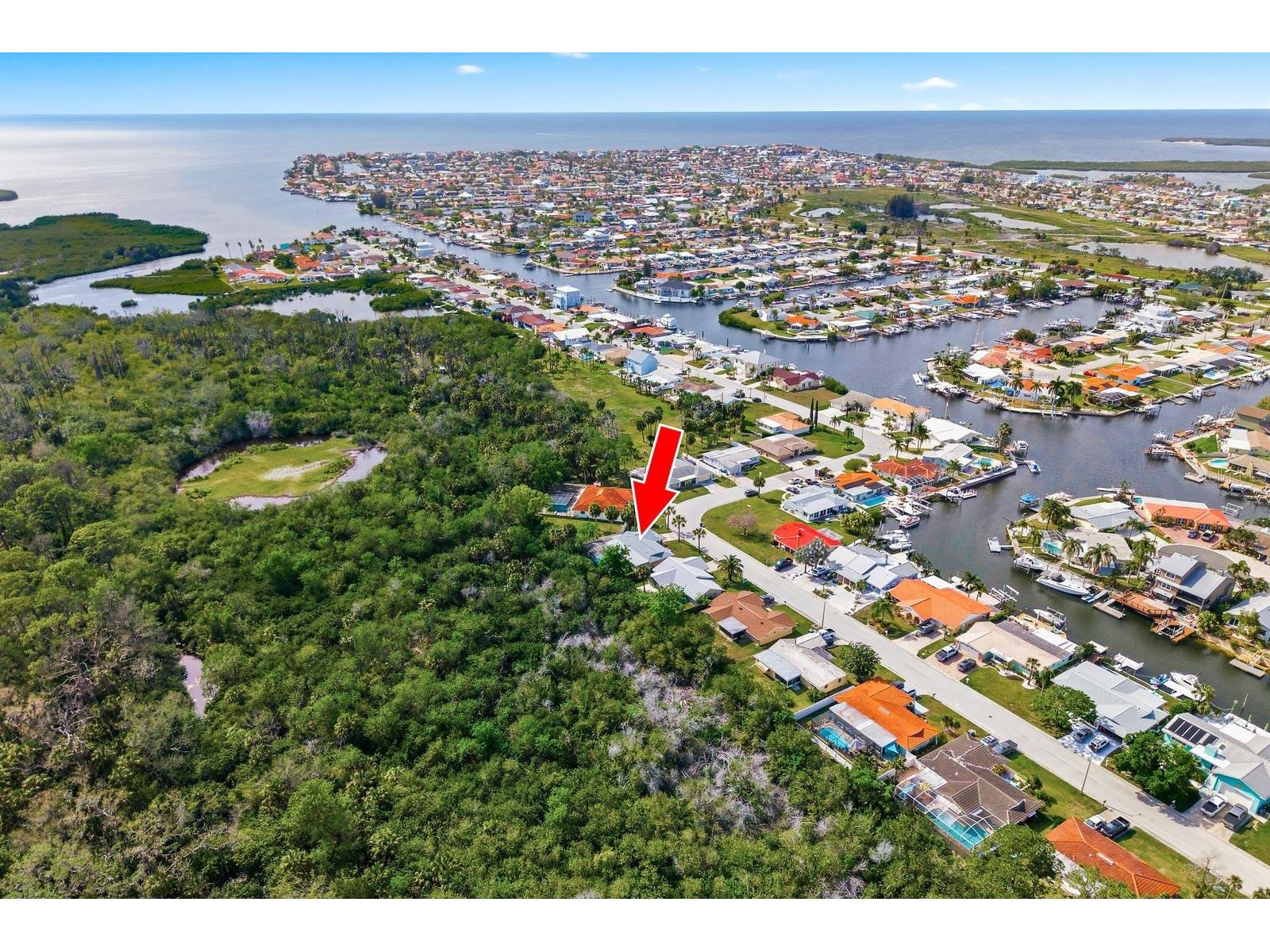 4276 Rudder Way New Port Richey FL 34652 TB8495474 image24