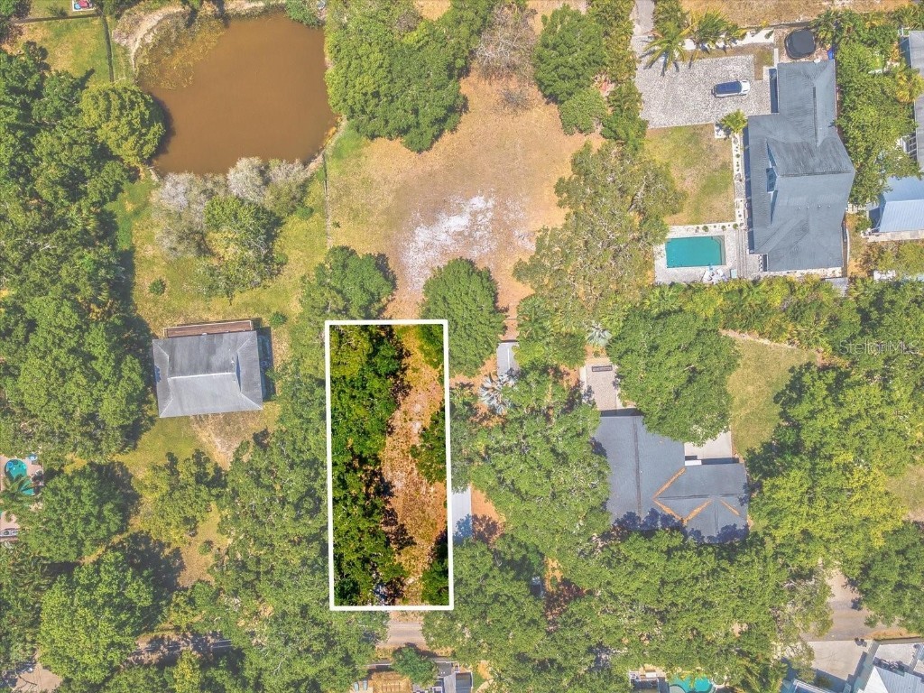 428 Lemon Street Palm Harbor FL 34683 TB8354656 image2