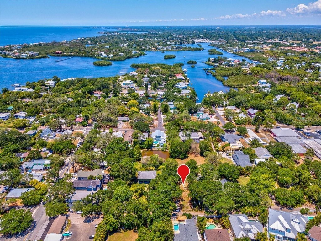 428 Lemon Street Palm Harbor FL 34683 TB8354656 image4