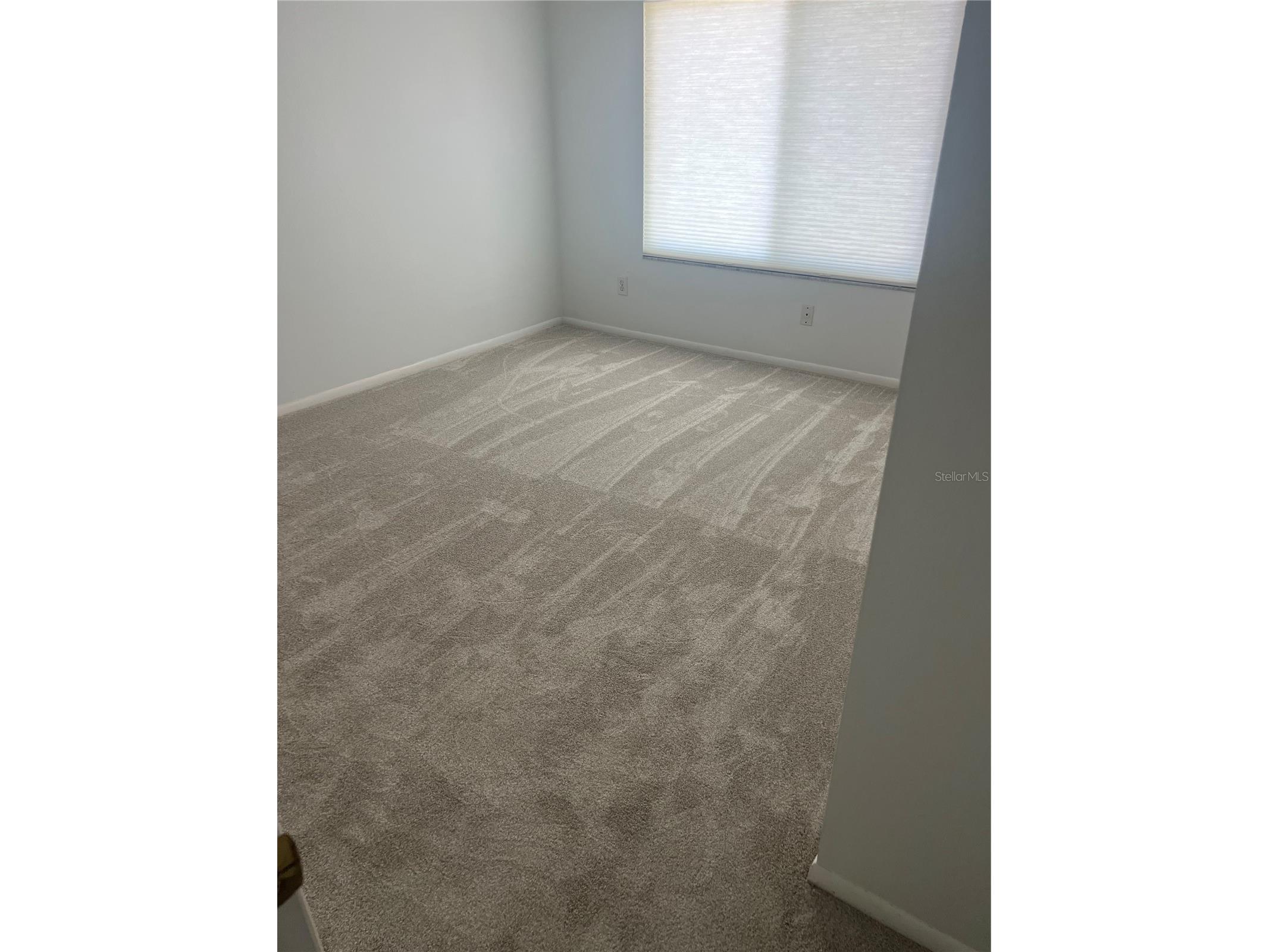 428 Moorings Cove Drive #7F Tarpon Springs FL 34689 - ANCLOTE TB8460000 image38