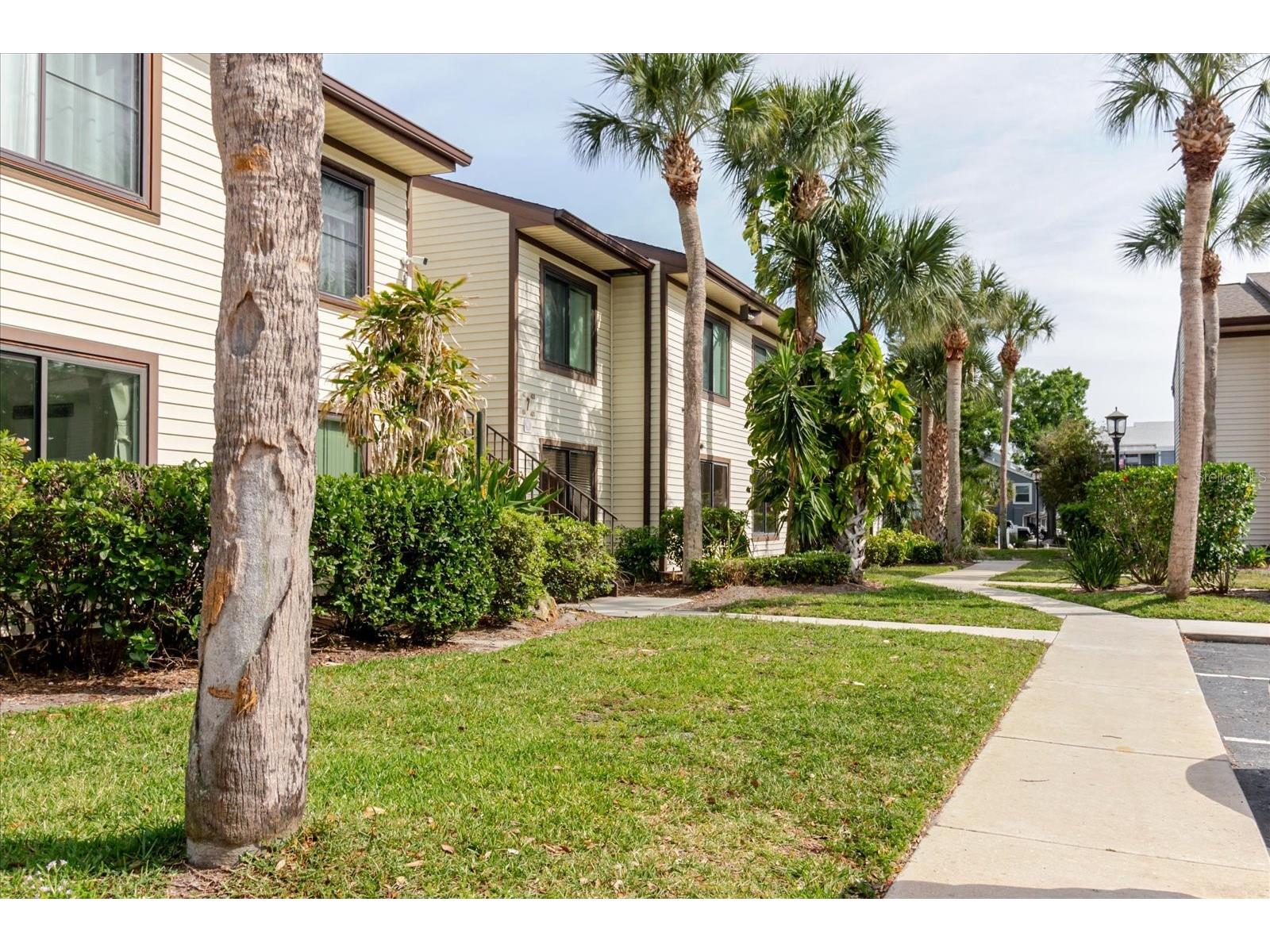 428 Moorings Cove Drive #7F Tarpon Springs FL 34689 - ANCLOTE TB8460000 image8