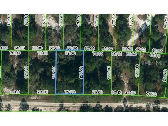 428 Morningside Drive Lake Placid FL 33852 OM624455 image1