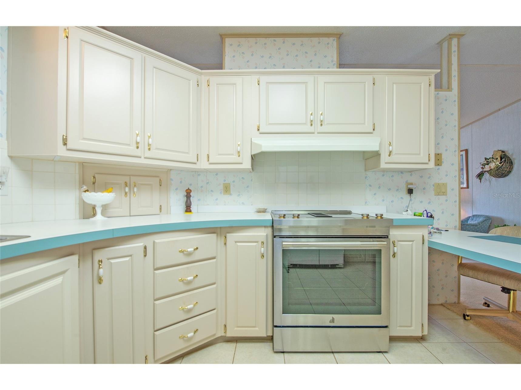 428 Pelican Drive S Oldsmar FL 34677 TB8474552 image17