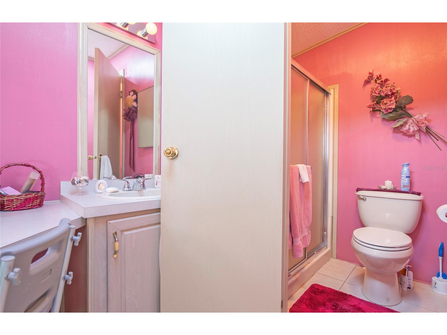 428 Pelican Drive S Oldsmar FL 34677 TB8474552 image27