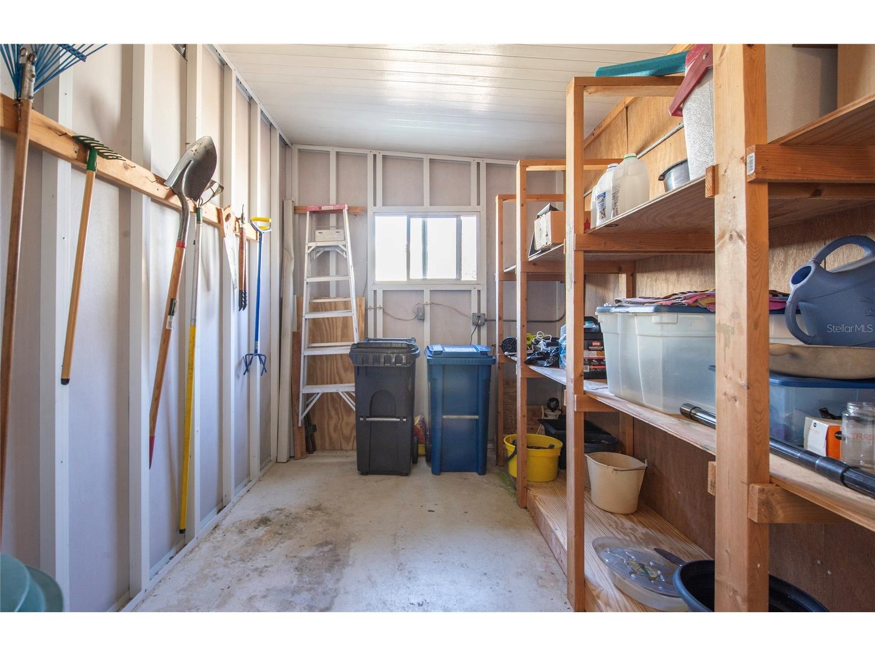 428 Pelican Drive S Oldsmar FL 34677 TB8474552 image39