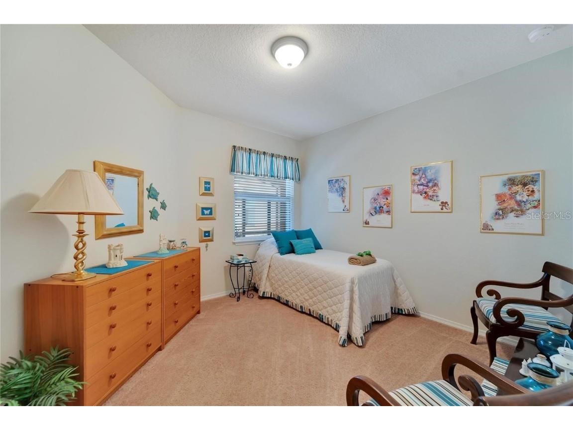 428 Seneca Falls Drive Apollo Beach FL 33572 TB8441626 image21