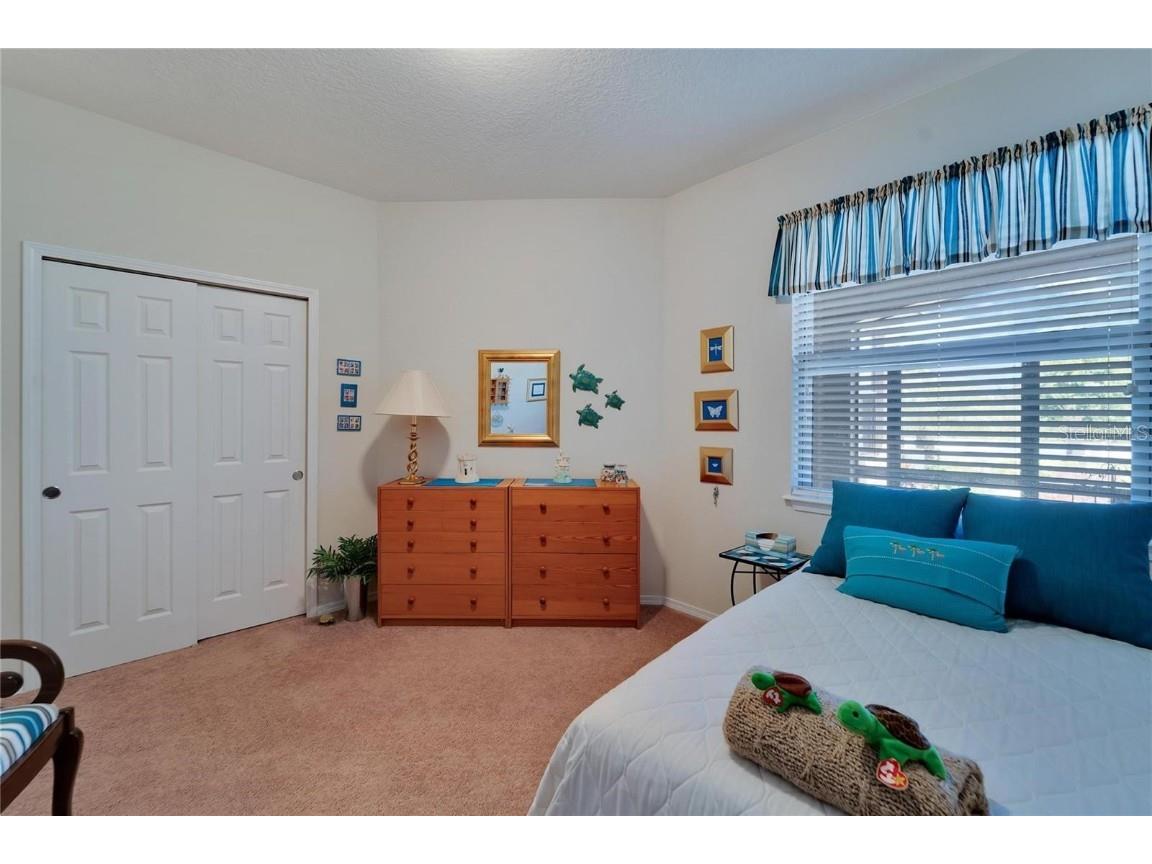 428 Seneca Falls Drive Apollo Beach FL 33572 TB8441626 image22