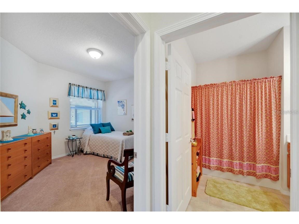 428 Seneca Falls Drive Apollo Beach FL 33572 TB8441626 image23