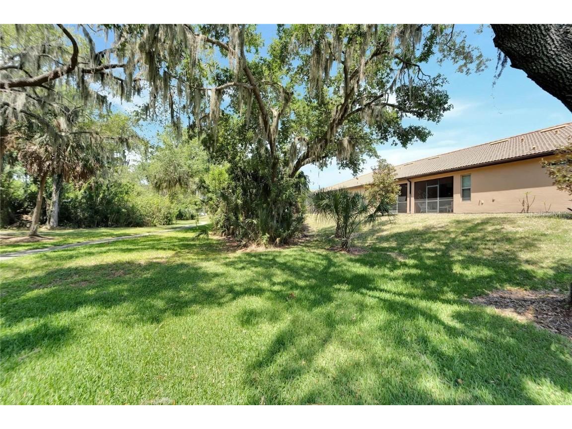 428 Seneca Falls Drive Apollo Beach FL 33572 TB8441626 image26