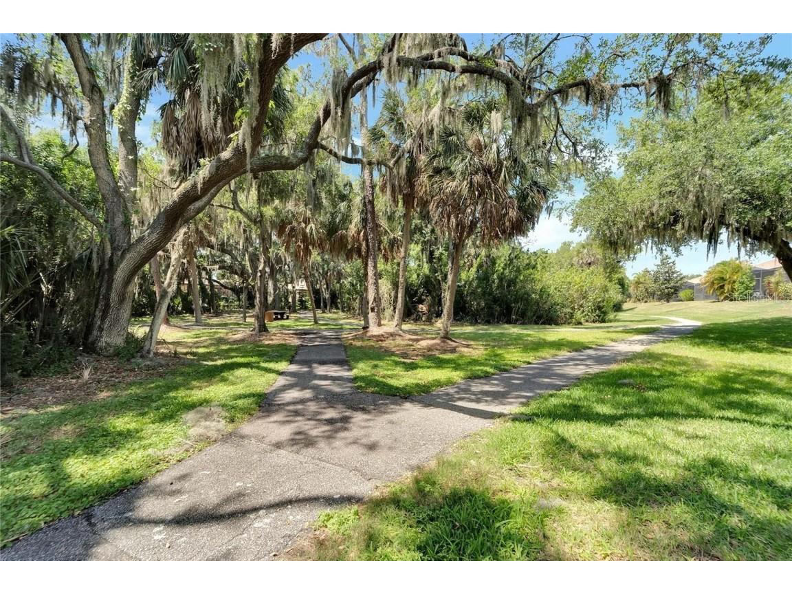 428 Seneca Falls Drive Apollo Beach FL 33572 TB8441626 image27