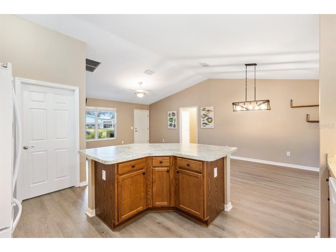 428 Tarrson Boulevard Lady Lake FL 32159 O6305404 image10