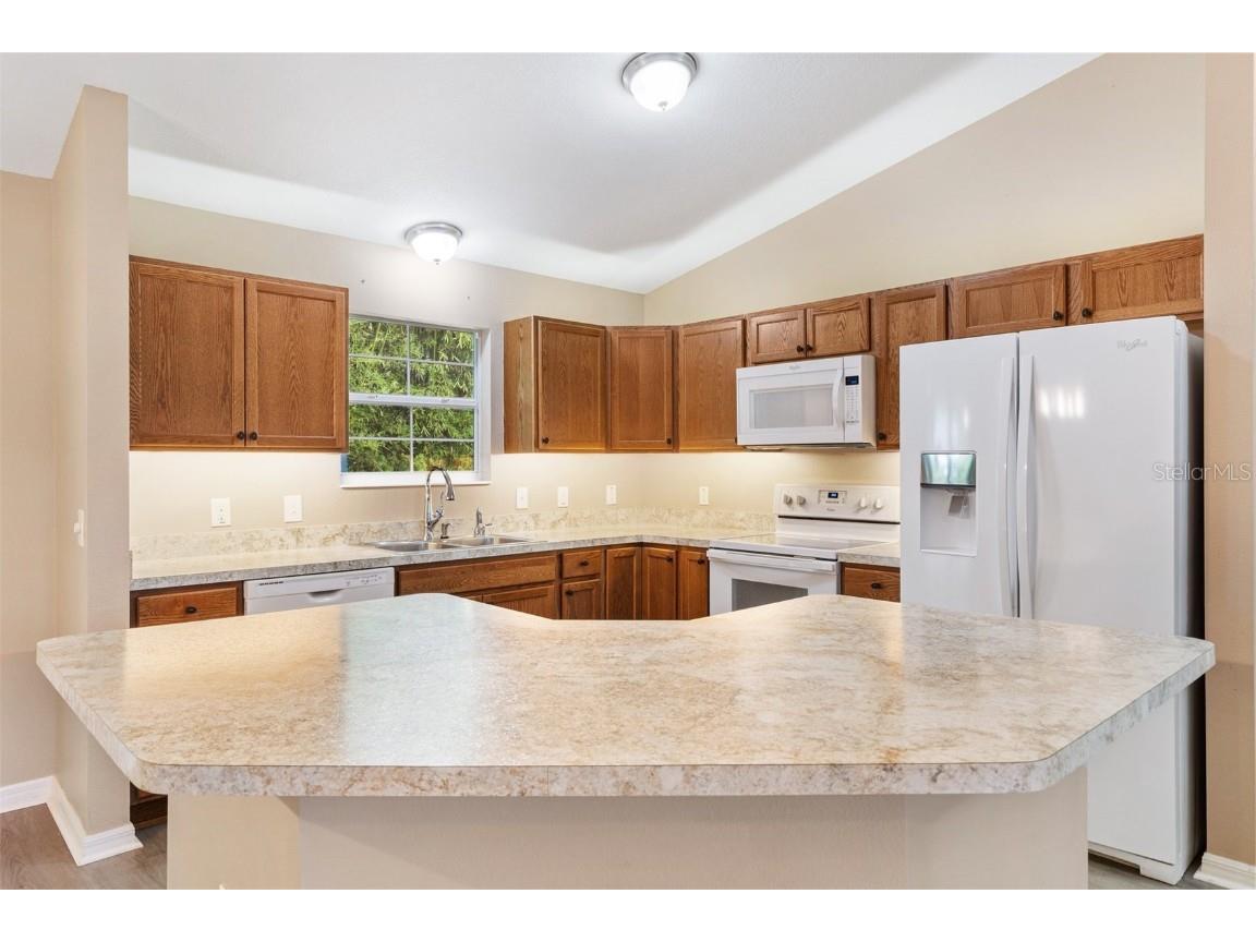 428 Tarrson Boulevard Lady Lake FL 32159 O6305404 image8