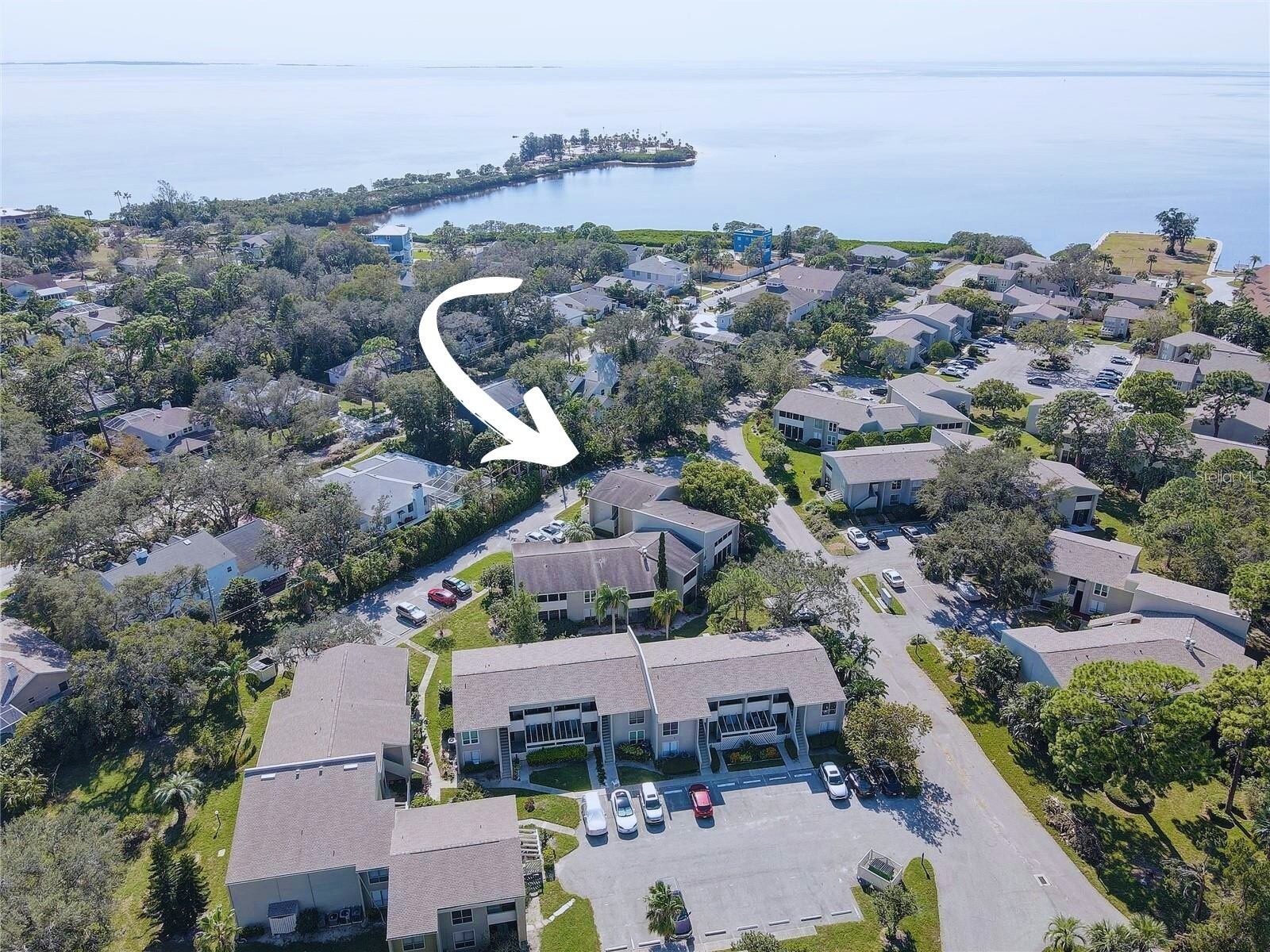 428 Windrush Bay Drive #428 Tarpon Springs FL 34689 TB8502268 image38