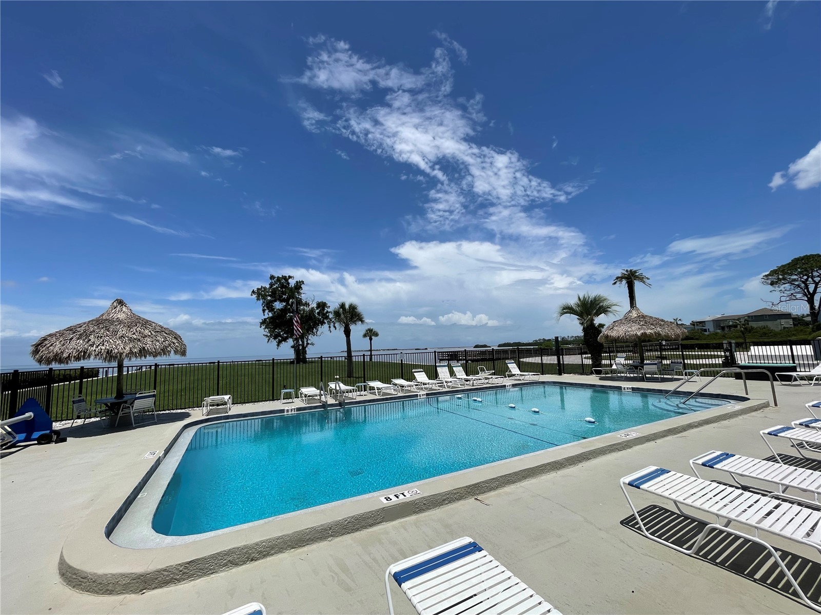 428 Windrush Bay Drive Tarpon Springs FL 34689 TB8470449 image3