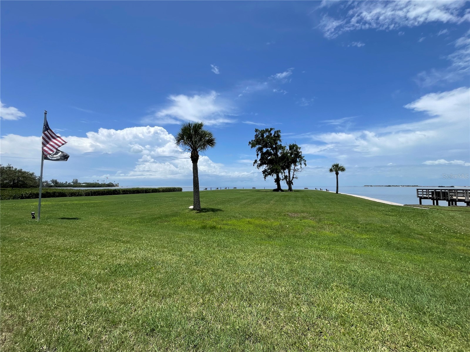 428 Windrush Bay Drive Tarpon Springs FL 34689 TB8470449 image4