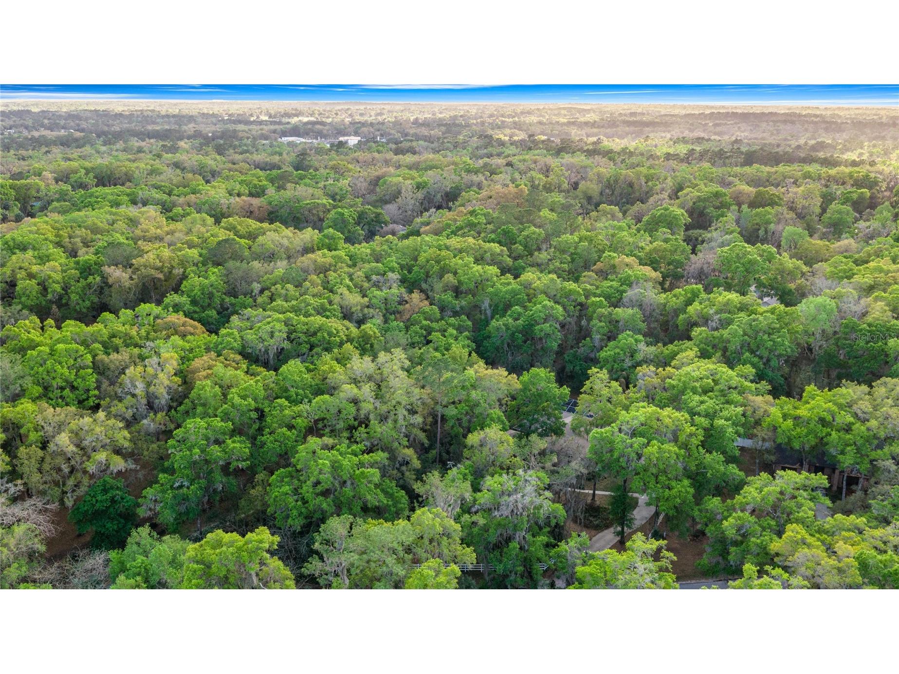 4280 SE 26th Terrace Road Ocala FL 34480 TB8485316 image66