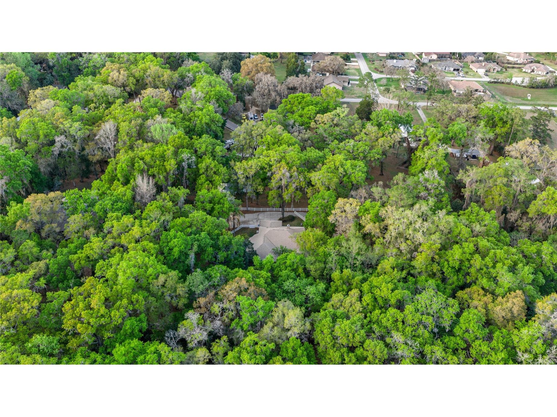 4280 SE 26th Terrace Road Ocala FL 34480 TB8485316 image69