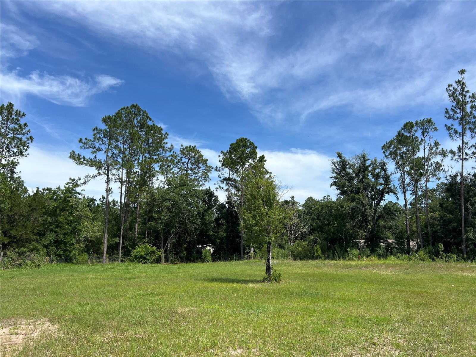4281 Evergreen Avenue Bunnell FL 32110 FC317791 image28