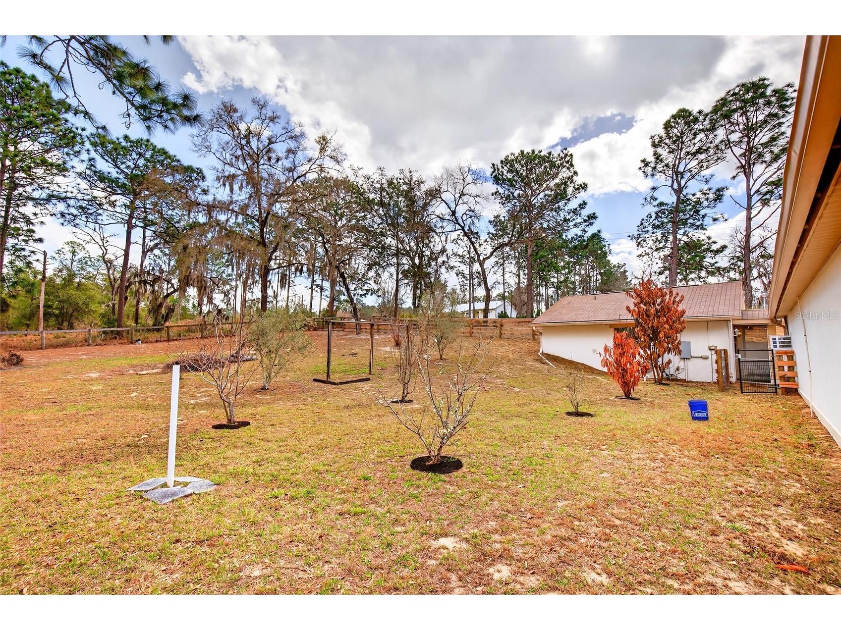 4281 SW 121st Terrace Ocala FL 34481 OM719132 image63