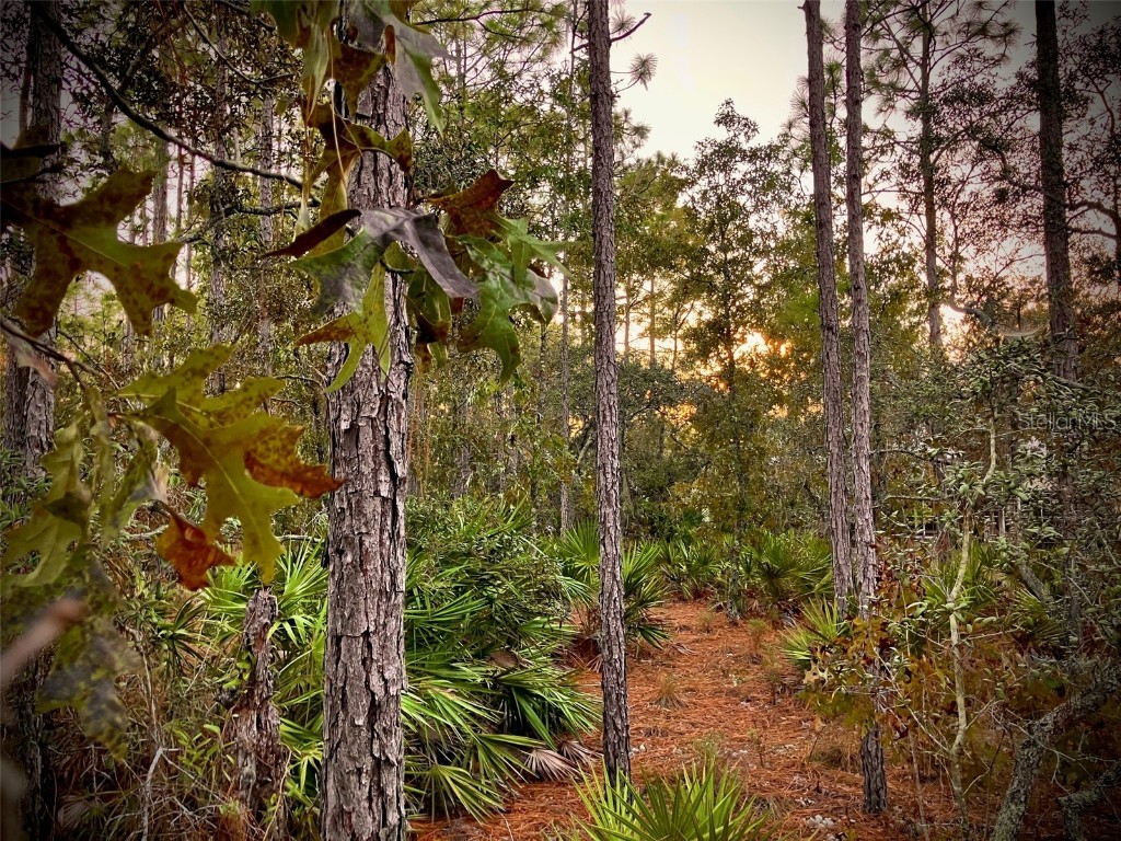 4282 N Bridger Drive Beverly Hills FL 34465 TB8440001 image1