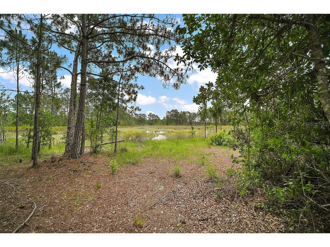 42826 Piney Acres Paisley FL 32767 G5098016 image23