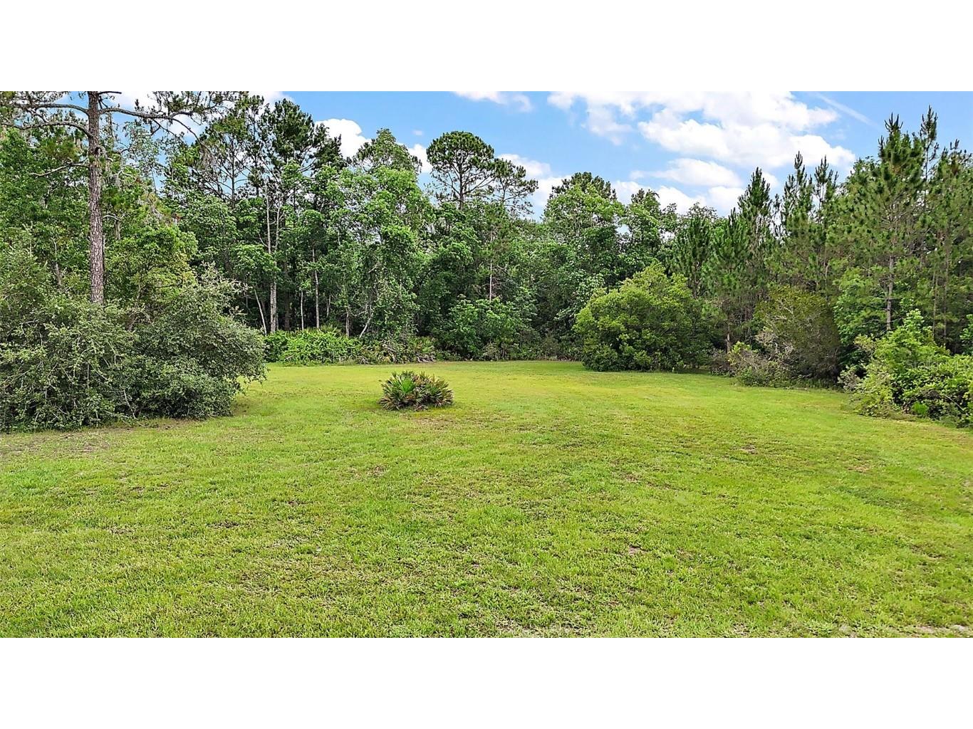 42826 Piney Acres Paisley FL 32767 G5098016 image28