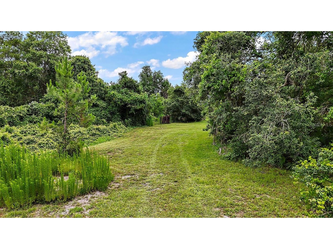 42826 Piney Acres Paisley FL 32767 G5098016 image30