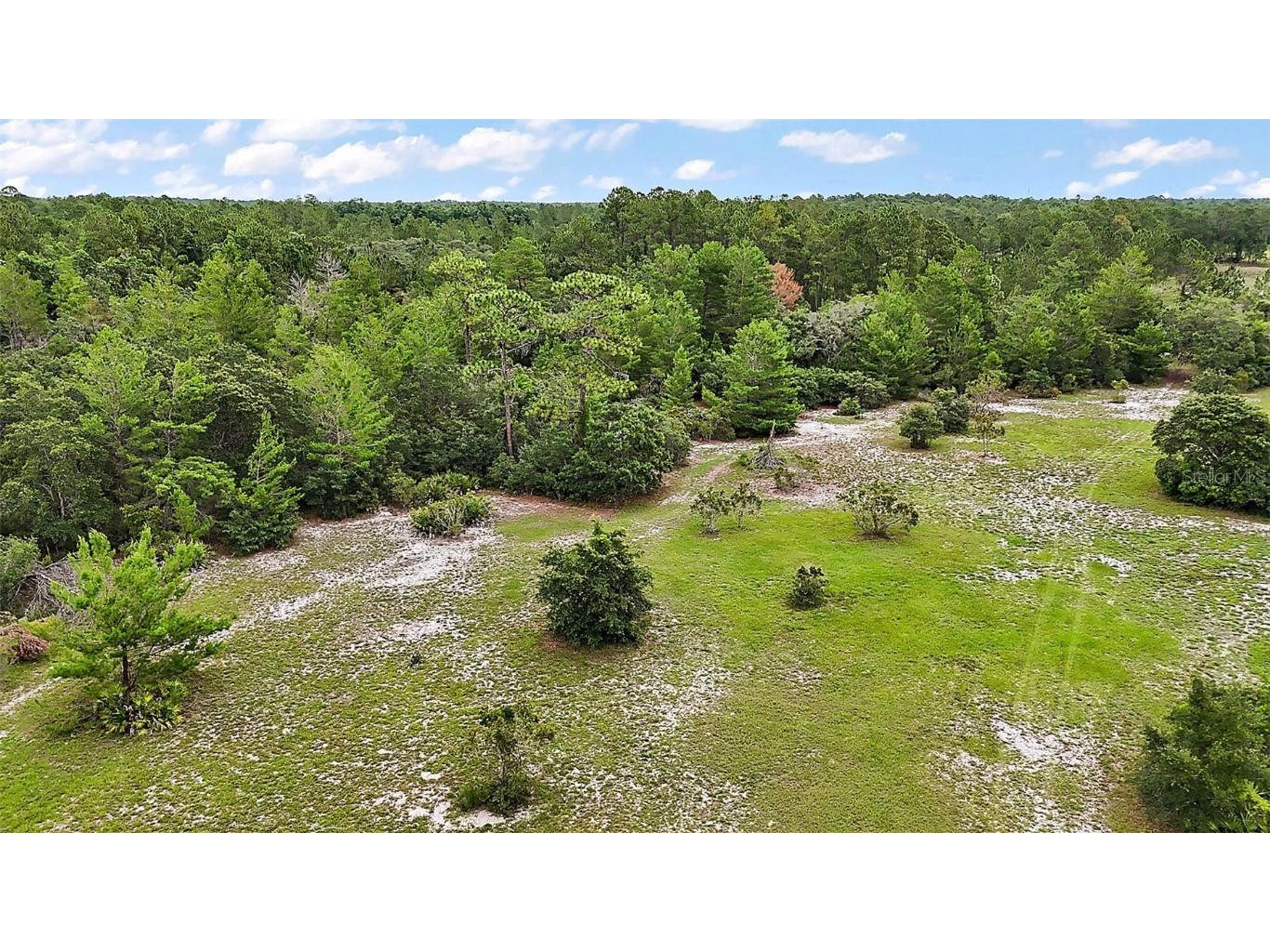 42826 Piney Acres Paisley FL 32767 G5098016 image31