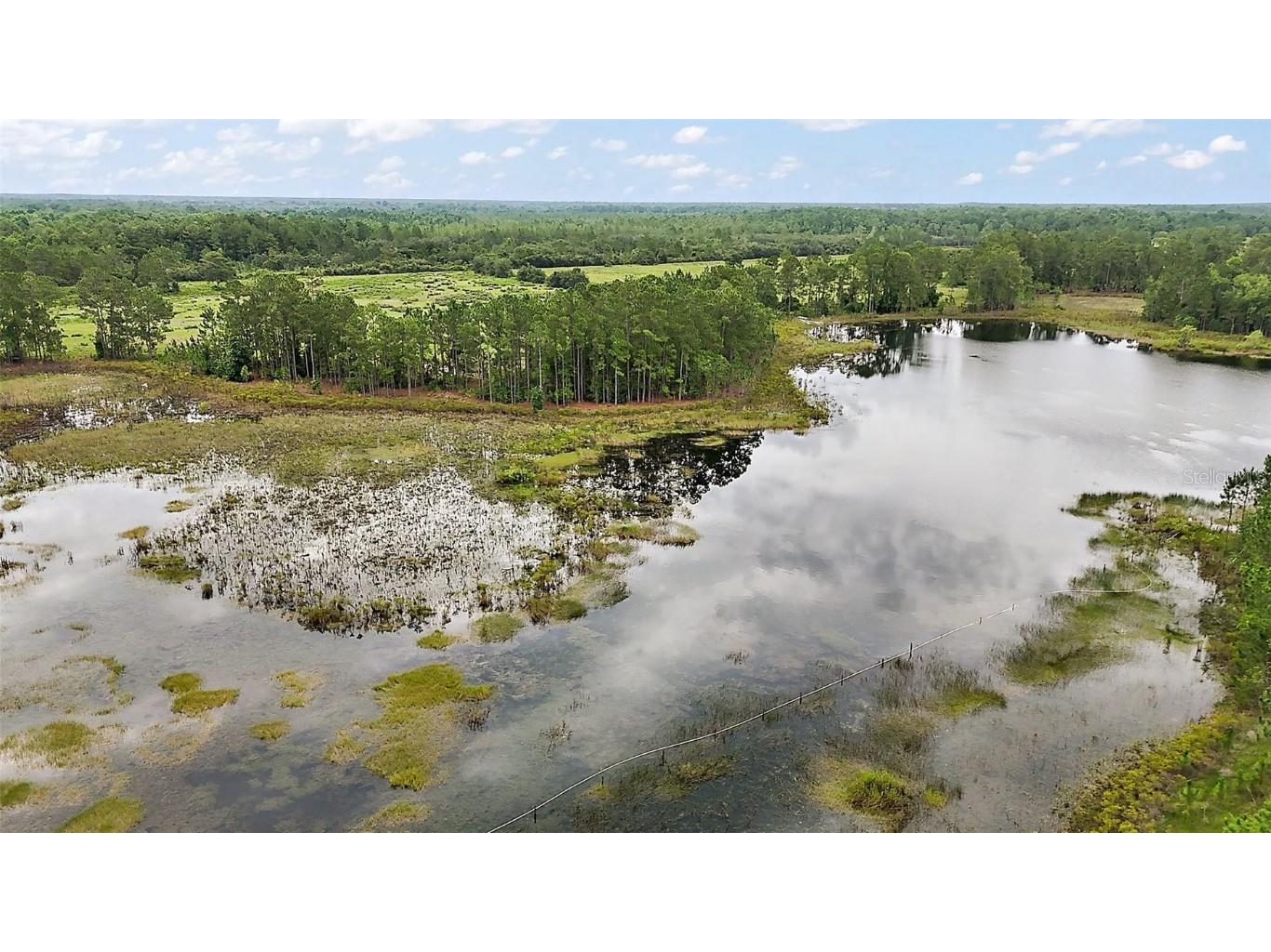 42826 Piney Acres Paisley FL 32767 G5098016 image32