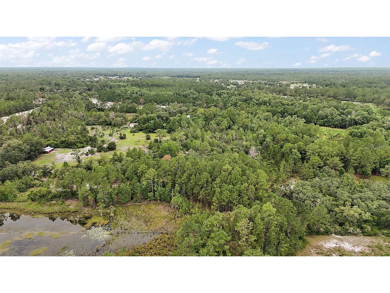 42826 Piney Acres Paisley FL 32767 G5098016 image33
