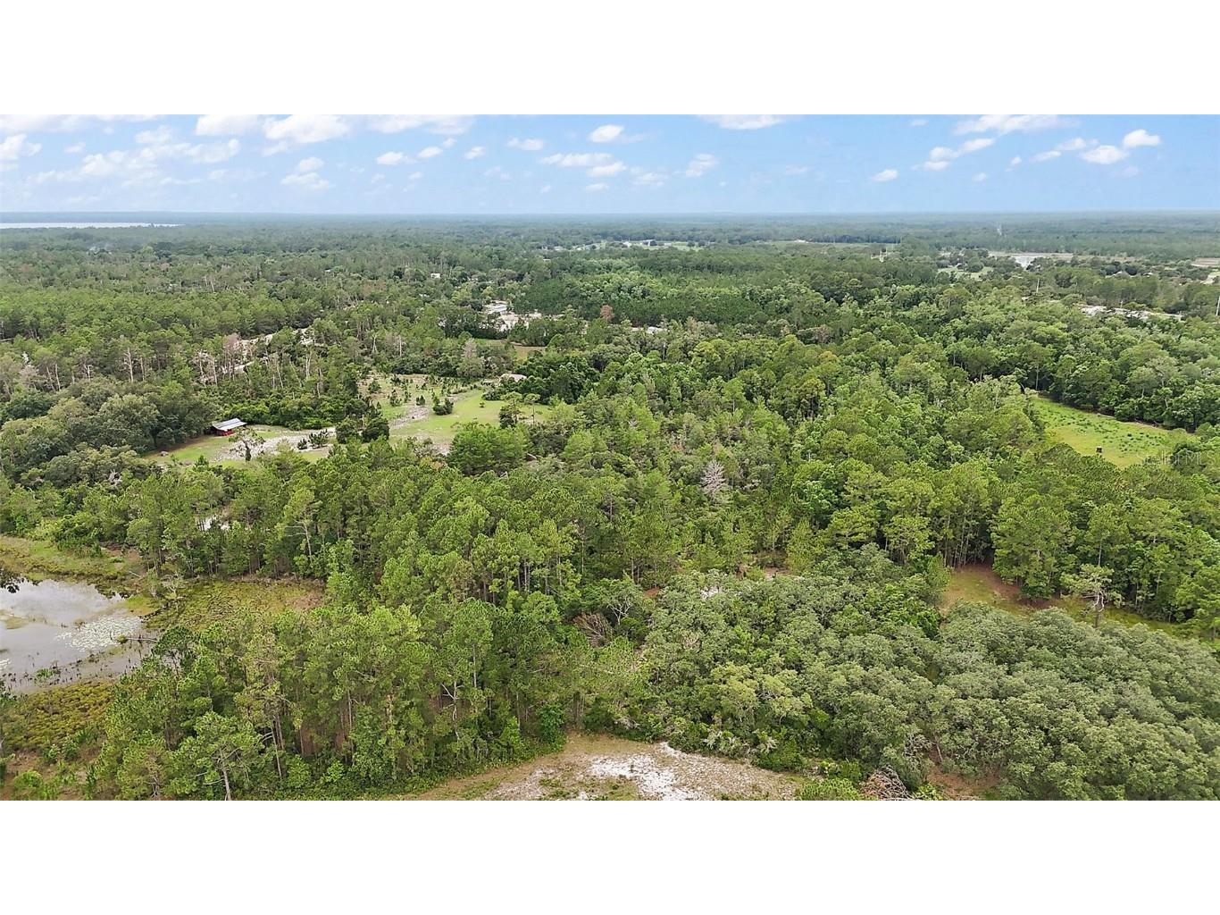 42826 Piney Acres Paisley FL 32767 G5098016 image34