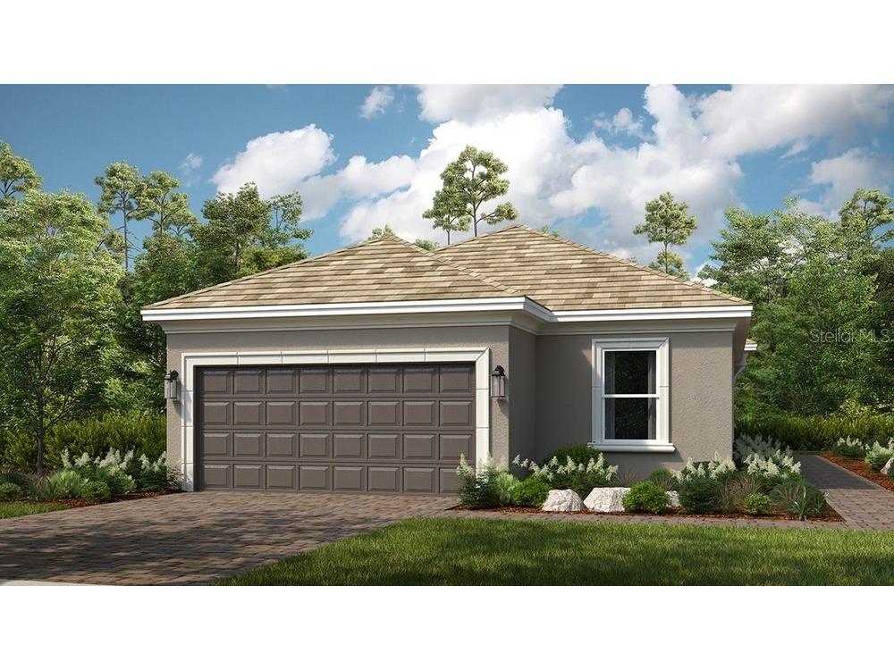 4286 Cairoli Court Wesley Chapel FL 33543 TB8388300 image1