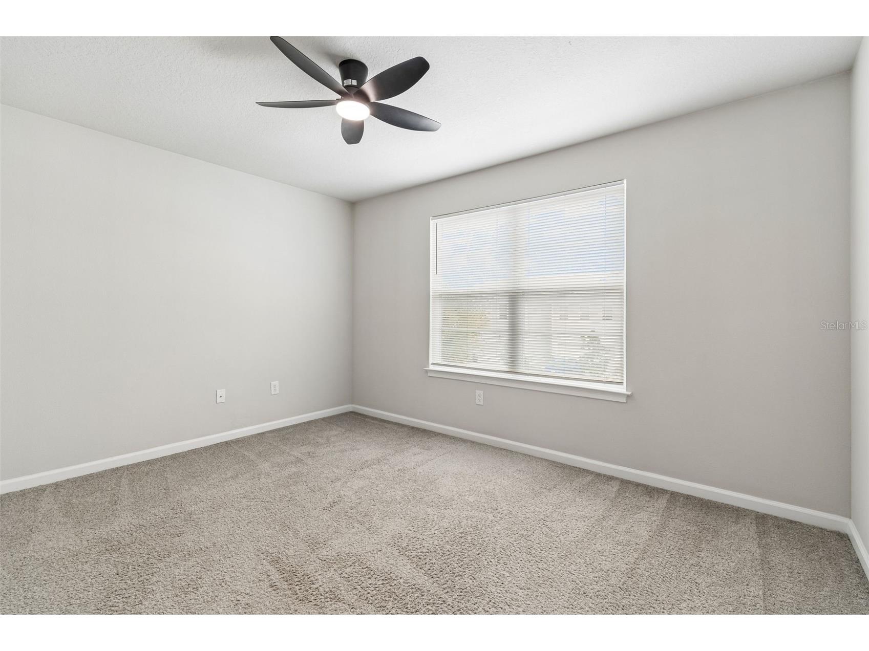 4286 Cloud Hopper Way Lutz FL 33559 W7887206 image21