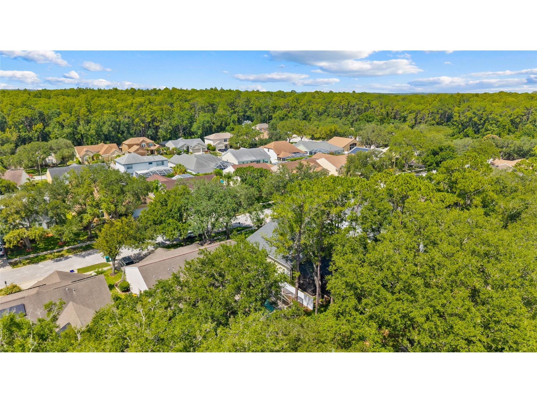 4287 Tremblay Way Palm Harbor FL 34685 - TARPON LAKE TB8513729 image38