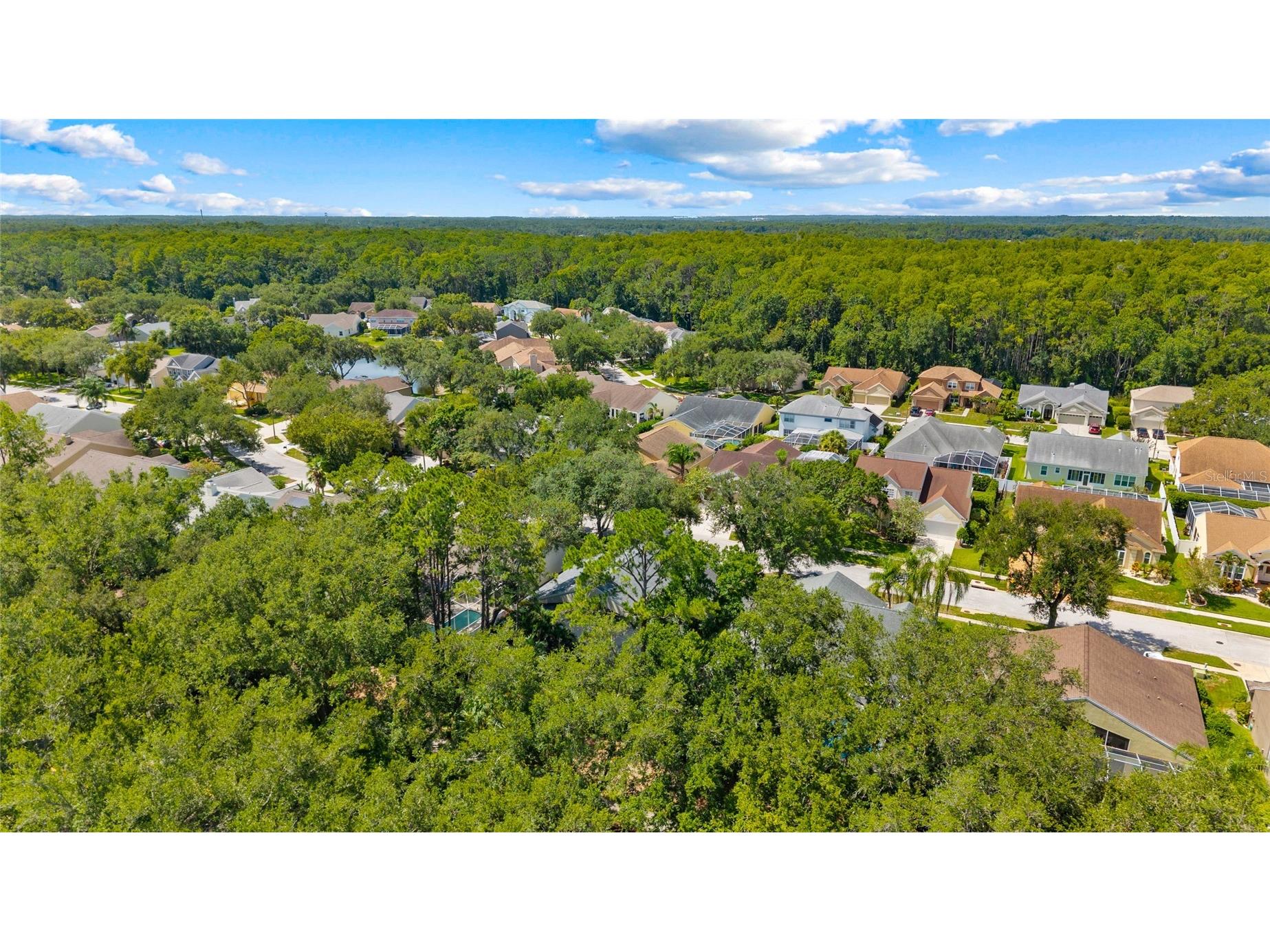 4287 Tremblay Way Palm Harbor FL 34685 - TARPON LAKE TB8513729 image39
