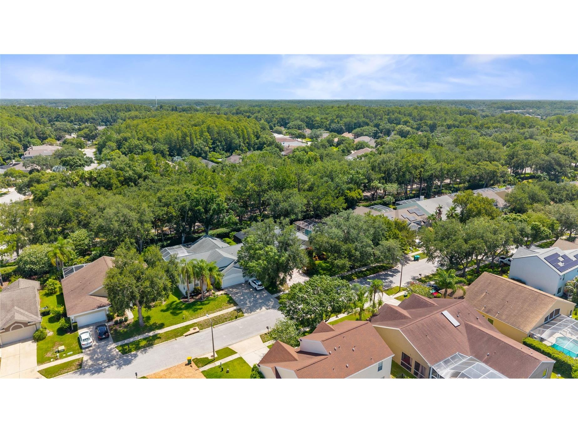 4287 Tremblay Way Palm Harbor FL 34685 - TARPON LAKE TB8513729 image40