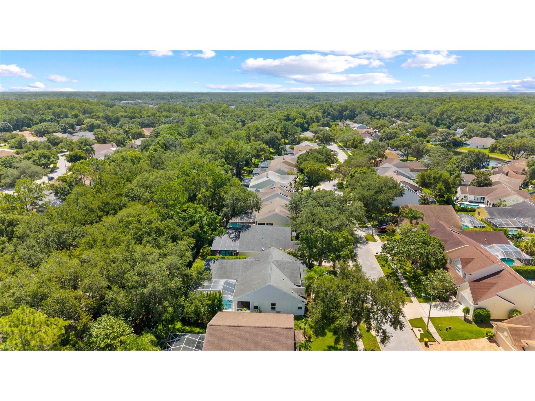 4287 Tremblay Way Palm Harbor FL 34685 - TARPON LAKE TB8513729 image42